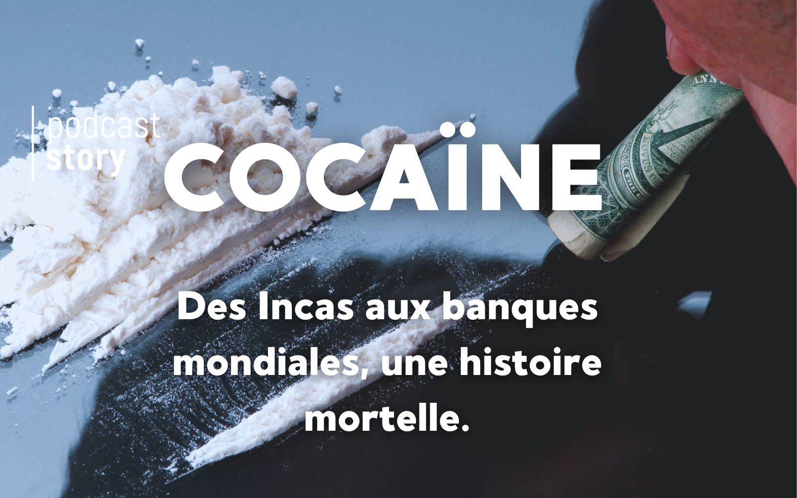 Cocaïne, des Incas aux banques mondiales, une histoire mortelle.