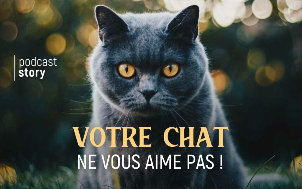 CHAT