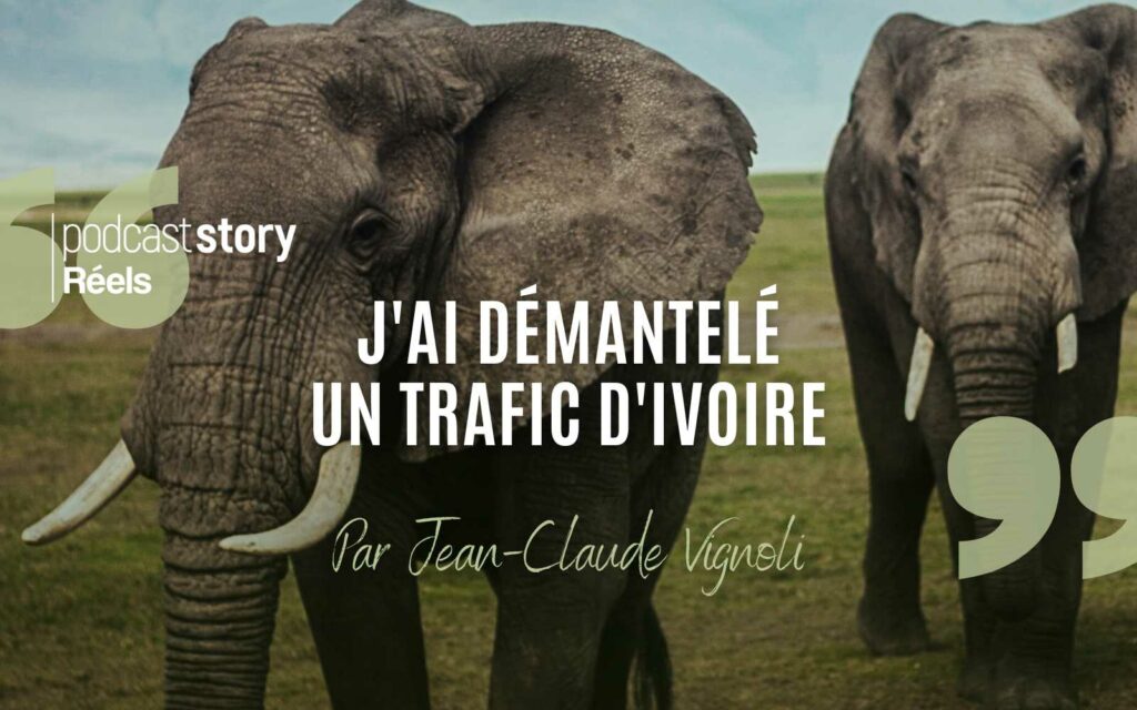 TRAFIC D'IVOIRE