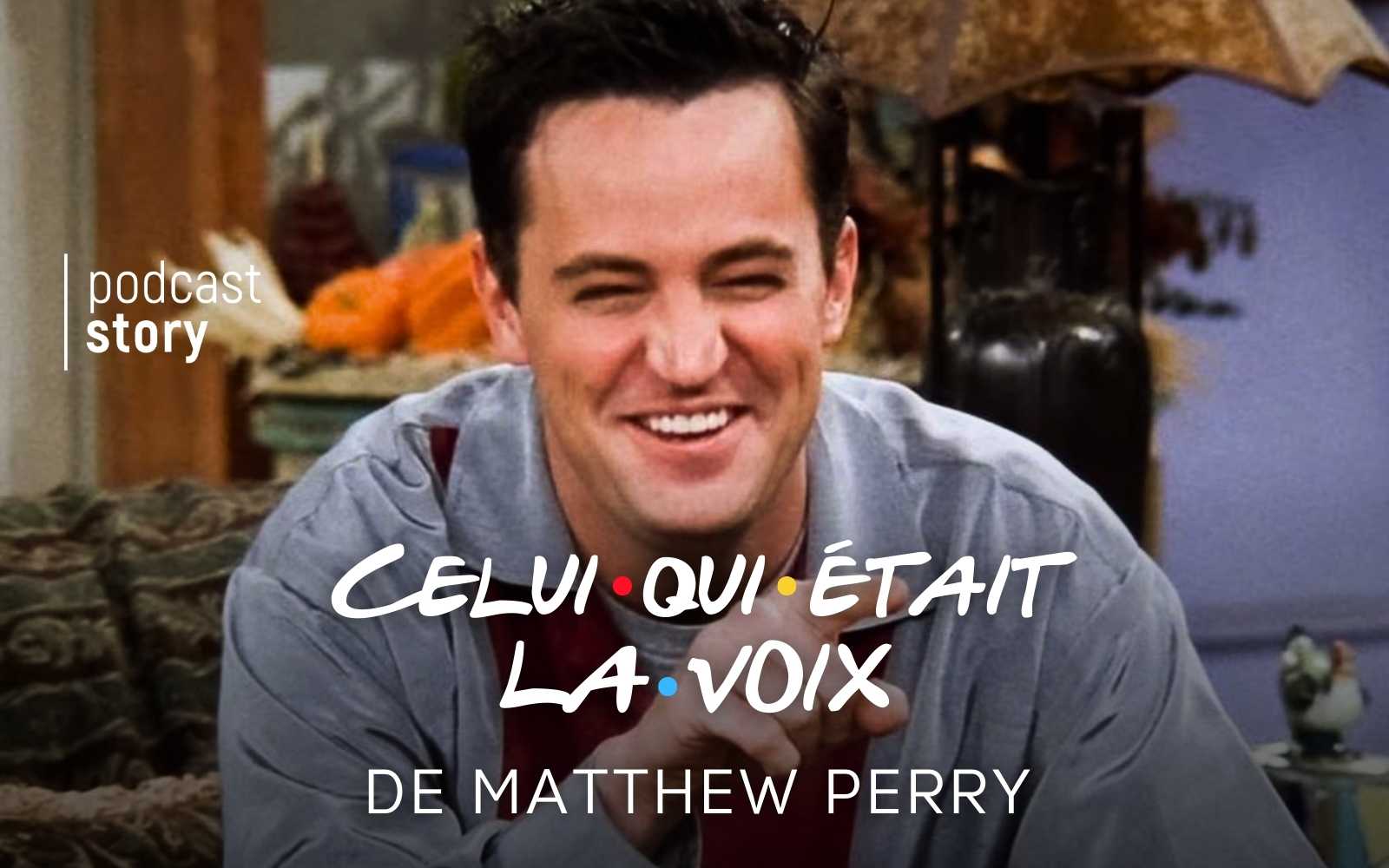 CELUI QUI ÉTAIT LA VOIX DE MATTHEW PERRY