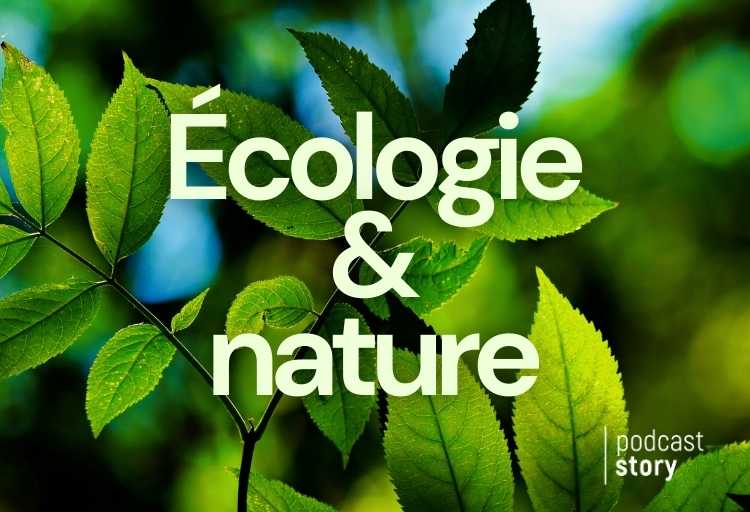 ÉCOLOGIE & NATURE